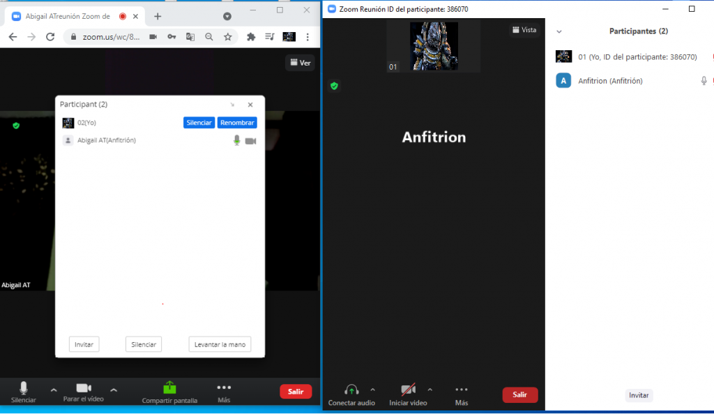 2 Reuniones de Zoom al mismo tiempo